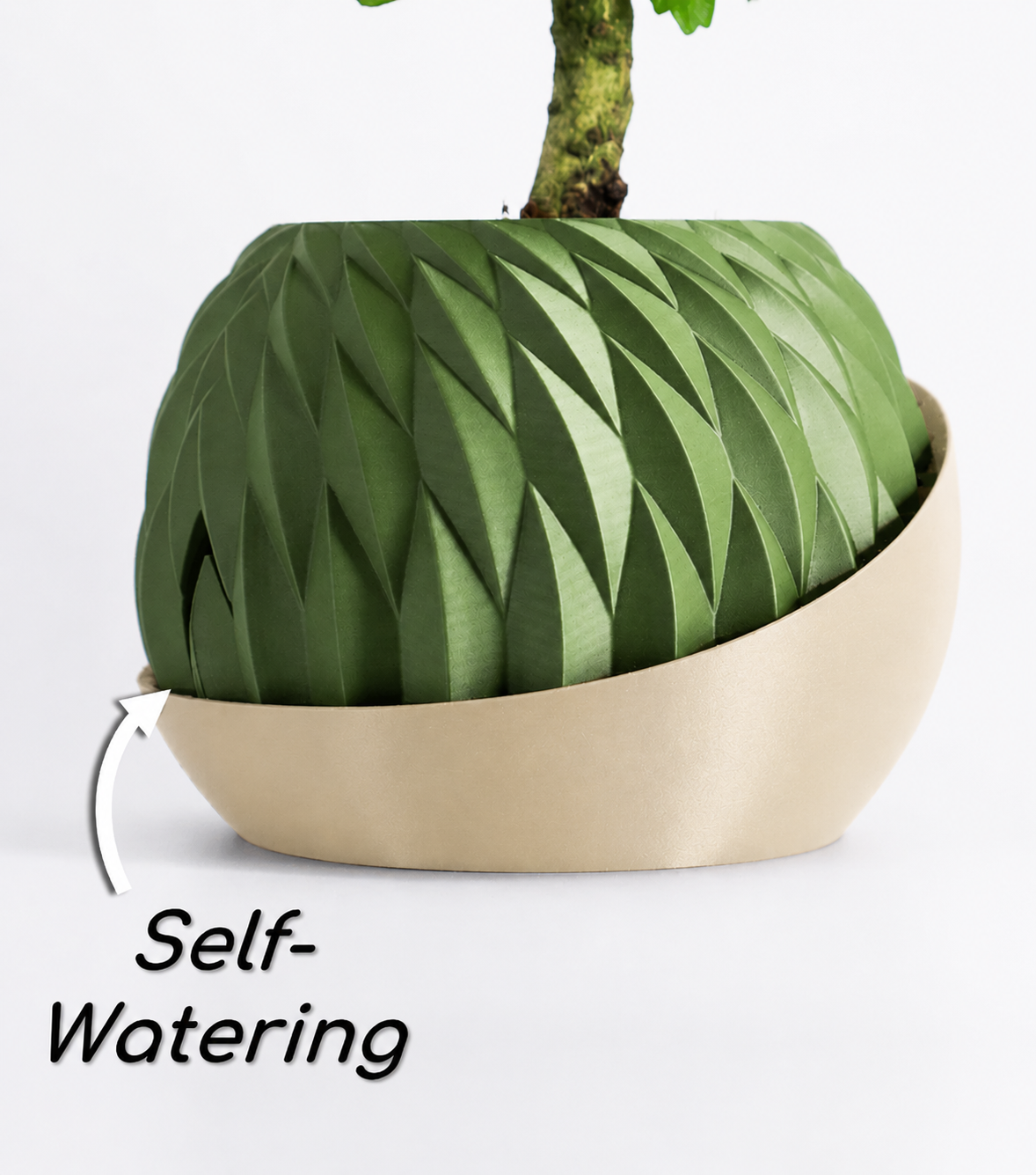 Wingcrest Self-Watering Planter